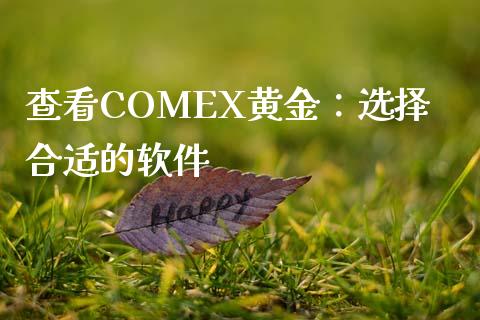 查看COMEX黄金：选择合适的软件_https://wap.fcdydaikuan.com_投资策略_第1张