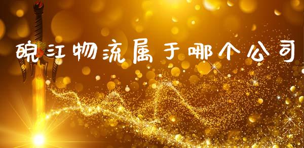 皖江物流属于哪个公司_https://wap.fcdydaikuan.com_理财顾问_第1张