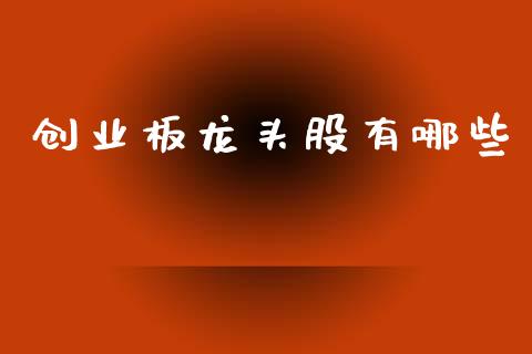 创业板龙头股有哪些_https://wap.fcdydaikuan.com_金融机构_第1张