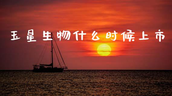 玉星生物什么时候上市_https://wap.fcdydaikuan.com_投资策略_第1张