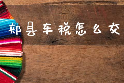 郏县车税怎么交_https://wap.fcdydaikuan.com_理财顾问_第1张