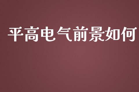平高电气前景如何_https://wap.fcdydaikuan.com_期货品种_第1张