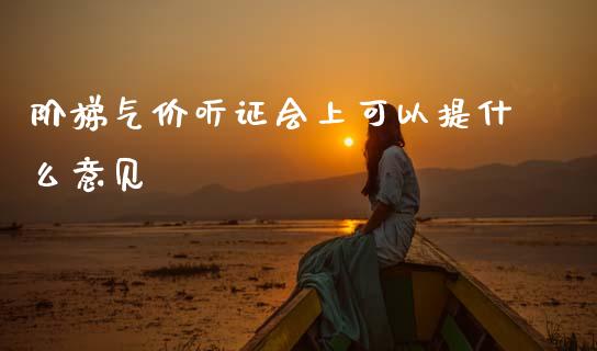 阶梯气价听证会上可以提什么意见_https://wap.fcdydaikuan.com_金融机构_第1张