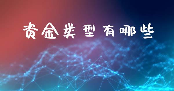 资金类型有哪些_https://wap.fcdydaikuan.com_金融机构_第1张