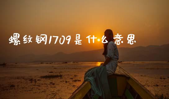 螺纹钢1709是什么意思_https://wap.fcdydaikuan.com_期货品种_第1张