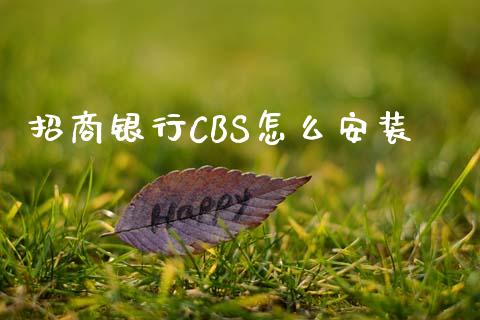 招商银行CBS怎么安装_https://wap.fcdydaikuan.com_理财顾问_第1张