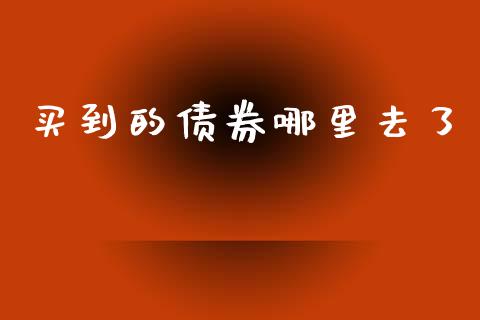 买到的债券哪里去了_https://wap.fcdydaikuan.com_期货品种_第1张