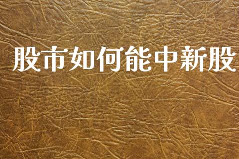 股市如何能中新股_https://wap.fcdydaikuan.com_新股数据_第1张
