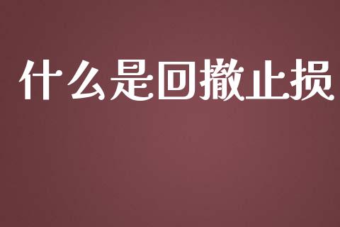 什么是回撤止损_https://wap.fcdydaikuan.com_期货品种_第1张
