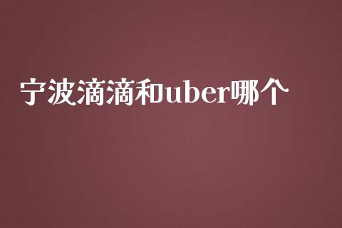 宁波滴滴和uber哪个_https://wap.fcdydaikuan.com_金融机构_第1张