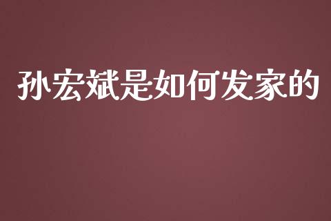 孙宏斌是如何发家的_https://wap.fcdydaikuan.com_理财顾问_第1张