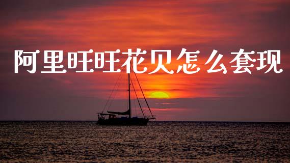 阿里旺旺花贝怎么套现_https://wap.fcdydaikuan.com_投资策略_第1张