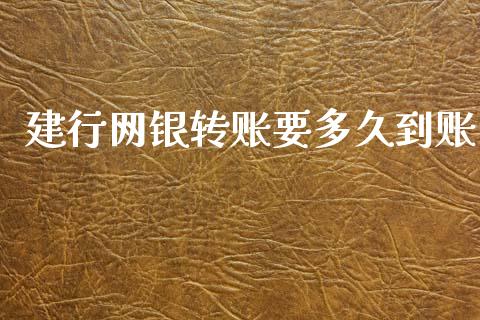 建行网银转账要多久到账_https://wap.fcdydaikuan.com_理财顾问_第1张
