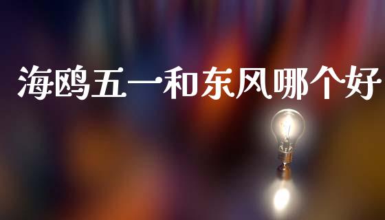 海鸥五一和东风哪个好_https://wap.fcdydaikuan.com_期货品种_第1张