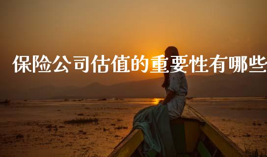 保险公司估值的重要性有哪些_https://wap.fcdydaikuan.com_投资策略_第1张