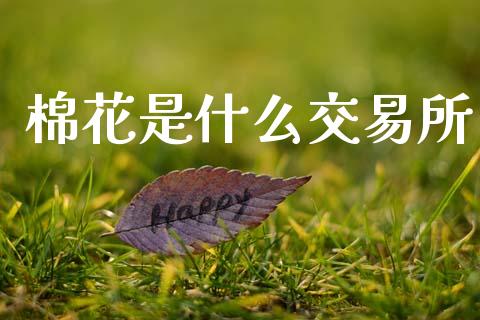棉花是什么交易所_https://wap.fcdydaikuan.com_投资策略_第1张