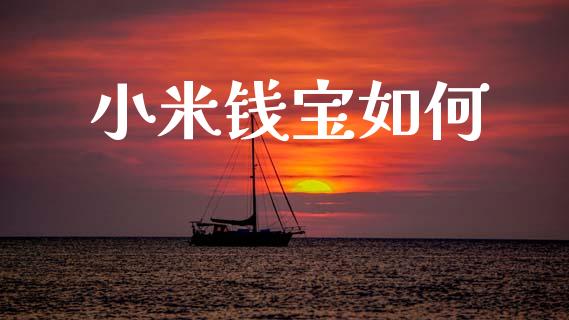 小米钱宝如何_https://wap.fcdydaikuan.com_金融机构_第1张
