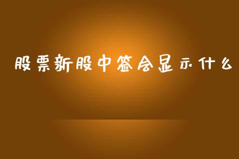 股票新股中签会显示什么_https://wap.fcdydaikuan.com_期货品种_第1张