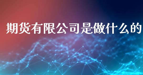 期货有限公司是做什么的_https://wap.fcdydaikuan.com_期货品种_第1张