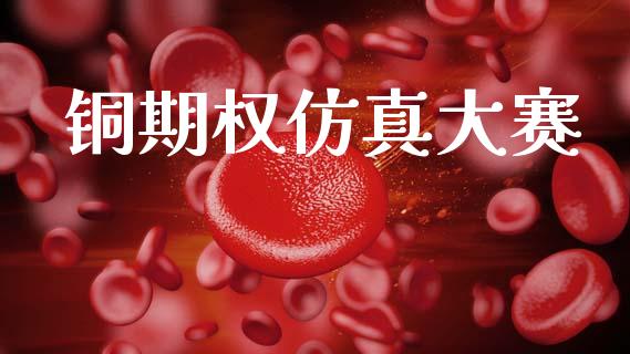 铜期权仿真大赛_https://wap.fcdydaikuan.com_国际投资_第1张
