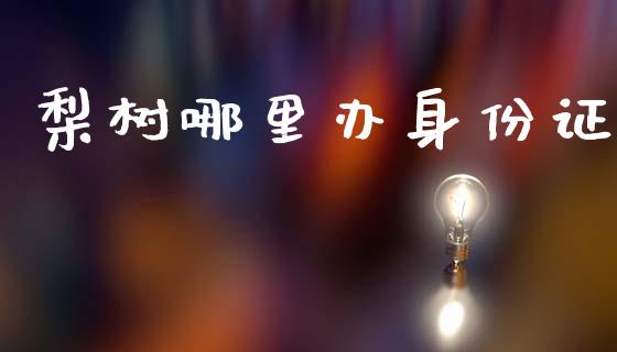 梨树哪里办身份证_https://wap.fcdydaikuan.com_投资策略_第1张