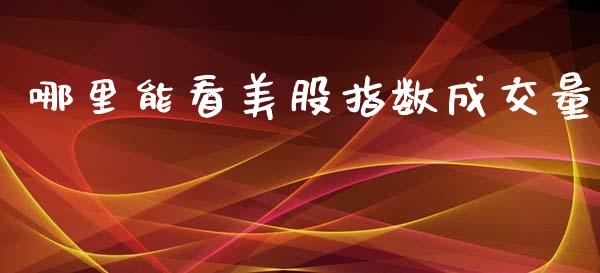 哪里能看美股指数成交量_https://wap.fcdydaikuan.com_国际投资_第1张