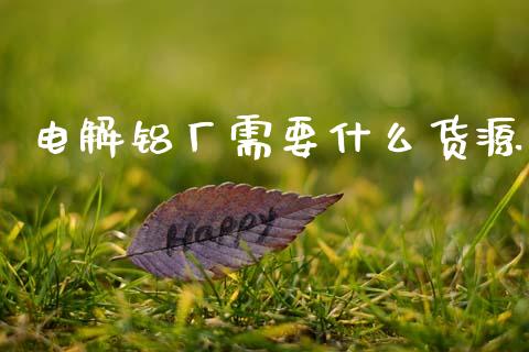 电解铝厂需要什么货源_https://wap.fcdydaikuan.com_国际投资_第1张
