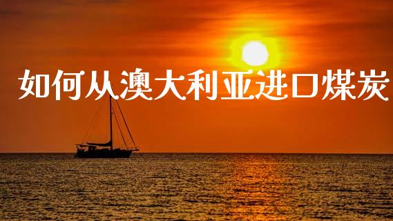 如何从澳大利亚进口煤炭_https://wap.fcdydaikuan.com_期货品种_第1张