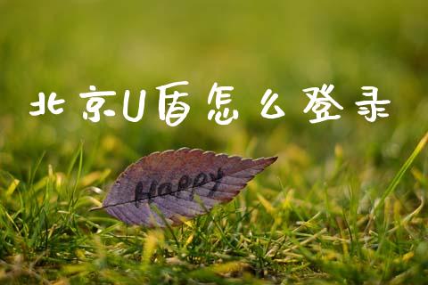 北京U盾怎么登录_https://wap.fcdydaikuan.com_金融机构_第1张