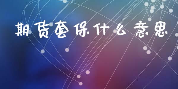 期货套保什么意思_https://wap.fcdydaikuan.com_理财顾问_第1张