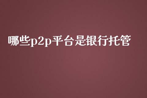 哪些p2p平台是银行托管_https://wap.fcdydaikuan.com_金融机构_第1张