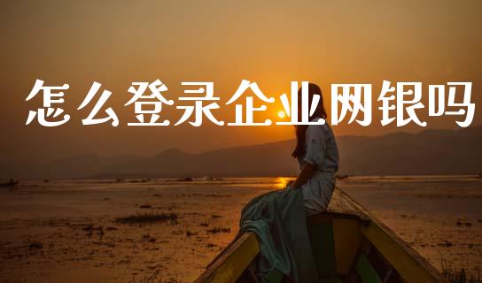 怎么登录企业网银吗_https://wap.fcdydaikuan.com_理财顾问_第1张