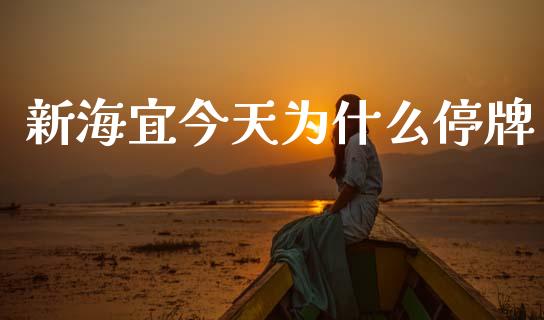 新海宜今天为什么停牌_https://wap.fcdydaikuan.com_金融机构_第1张