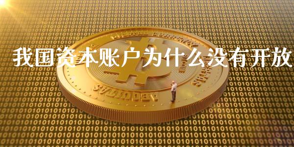 我国资本账户为什么没有开放_https://wap.fcdydaikuan.com_国际投资_第1张