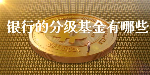 银行的分级基金有哪些_https://wap.fcdydaikuan.com_理财顾问_第1张