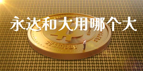 永达和大用哪个大_https://wap.fcdydaikuan.com_新股数据_第1张
