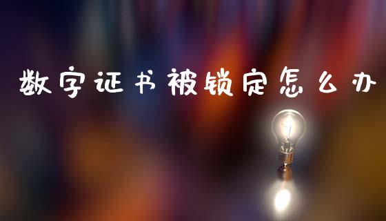 数字证书被锁定怎么办_https://wap.fcdydaikuan.com_国际投资_第1张