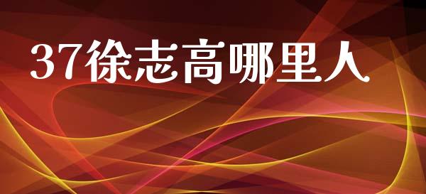 37徐志高哪里人_https://wap.fcdydaikuan.com_理财顾问_第1张