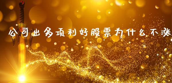 公司出多项利好股票为什么不涨_https://wap.fcdydaikuan.com_国际投资_第1张