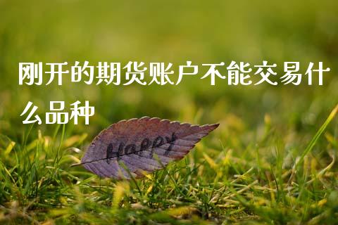 刚开的期货账户不能交易什么品种_https://wap.fcdydaikuan.com_国际投资_第1张