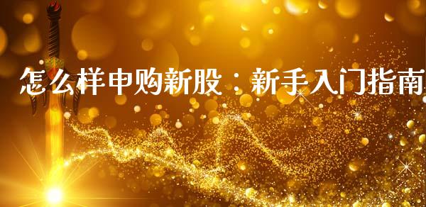 怎么样申购新股：新手入门指南_https://wap.fcdydaikuan.com_投资策略_第1张