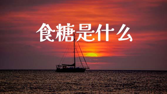食糖是什么_https://wap.fcdydaikuan.com_期货品种_第1张