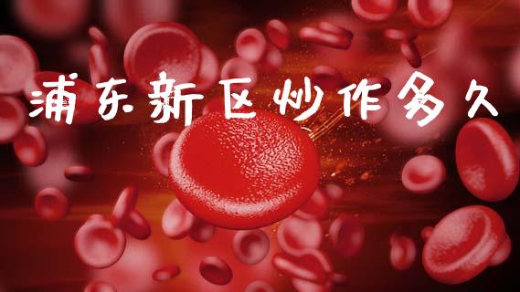 浦东新区炒作多久_https://wap.fcdydaikuan.com_金融机构_第1张