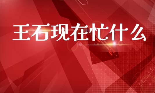 王石现在忙什么_https://wap.fcdydaikuan.com_投资策略_第1张