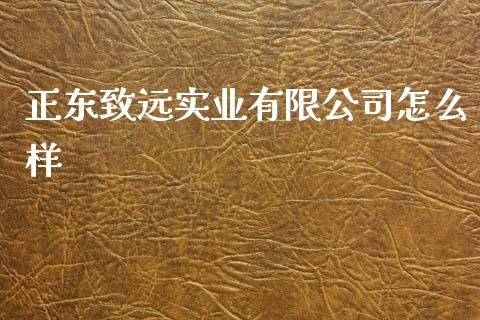 正东致远实业有限公司怎么样_https://wap.fcdydaikuan.com_投资策略_第1张