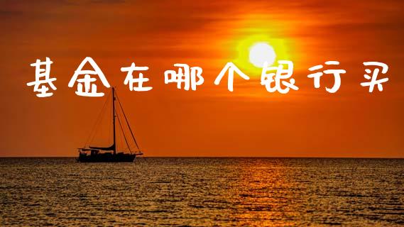 基金在哪个银行买_https://wap.fcdydaikuan.com_理财顾问_第1张