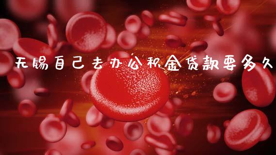 无锡自己去办公积金贷款要多久_https://wap.fcdydaikuan.com_投资策略_第1张