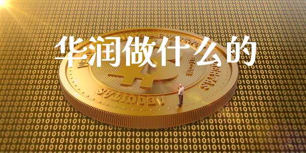 华润做什么的_https://wap.fcdydaikuan.com_理财顾问_第1张