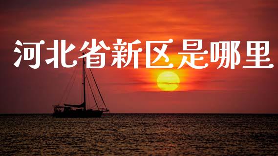 河北省新区是哪里_https://wap.fcdydaikuan.com_金融机构_第1张