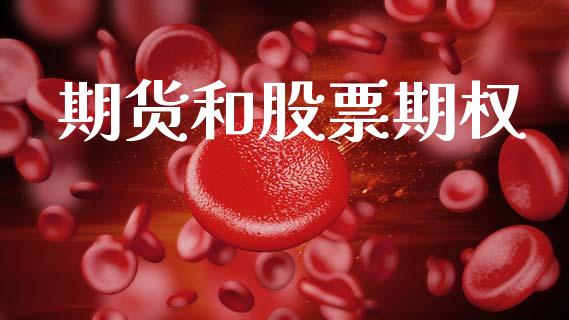 期货和股票期权_https://wap.fcdydaikuan.com_投资策略_第1张